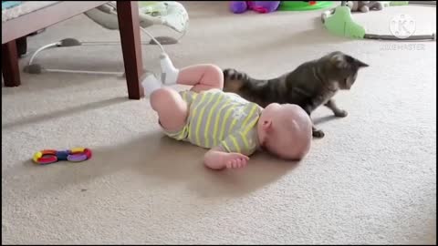 Funny cat & cute baby