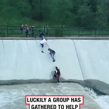 Good Samaritans Save Dog