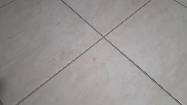 Lectura Biblica, Refran del Día y Mes