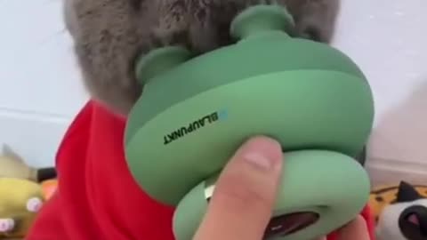 Cat give massage to human - ElephantNews