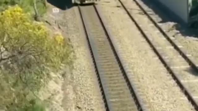 Dog almost got crushed by a train most watched