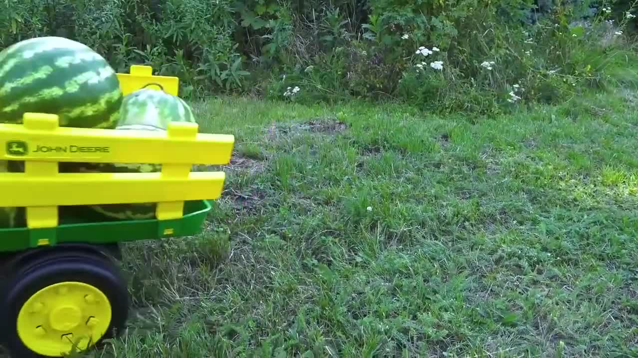 Darius Rides on Tractor \ Kids Pretend Play riding on Truck Toys gathering watermelon