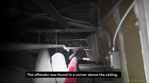 Brookhaven police department uses drone to find a resisting suspect in a Wingstop ceiling