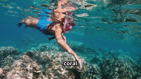 Luxury Travel in Bora Bora: A Dream Getaway!