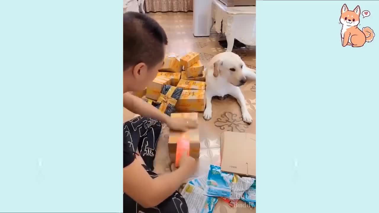 Little Cute Puppies 😍 Cute Funny and Smart Dogs