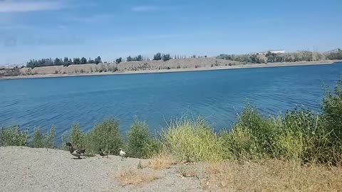 LOVE FROM THE LAKE: 6/9/22 SPEAKING