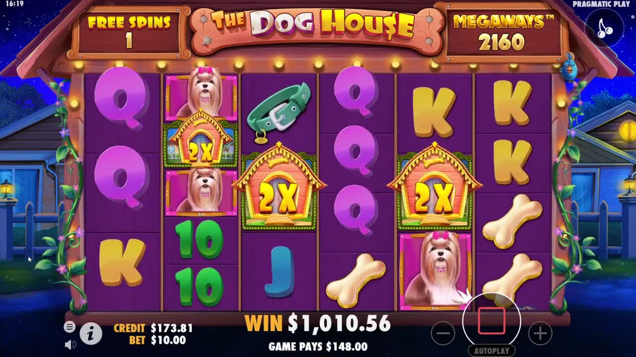 The $10,000 Dog House Megaways BONUS BUY!