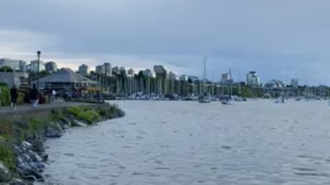 False Creek - Vancouver, BC