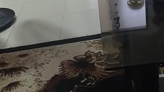 My two cute babies on the go 😍