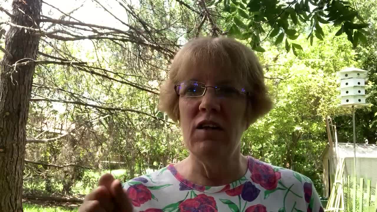 6/29/21 Acts 4:29-30 TPT