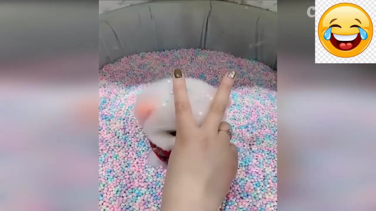 New Funny Animals Video 2023 | Funniest Cats and Dogs Videos | New Funny Video Of Cat And Dogs #400