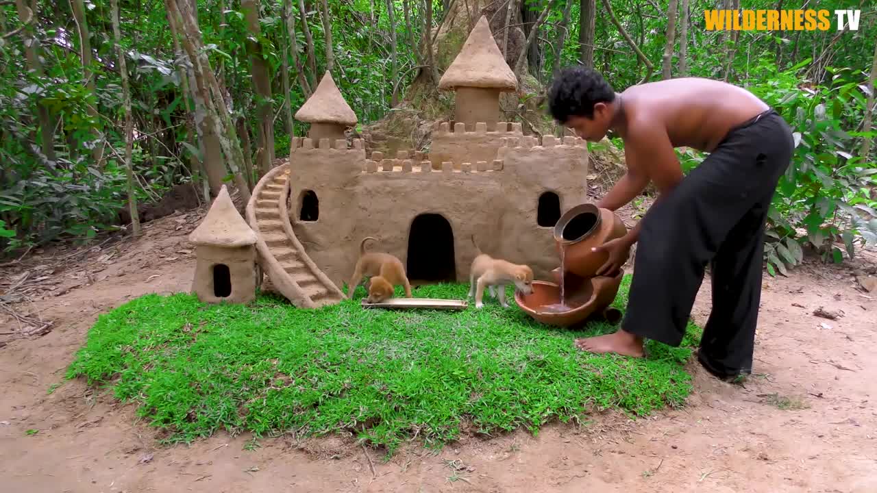 INCREIBLE casa y piscina PARA PERRITOS ABANDONADOS Y RECOGIDOS en lo profundo de la selva (A MANO