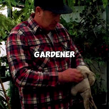 #shorts Slugs hide in vegetable leaves