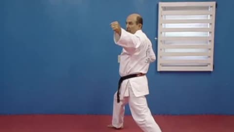 Forearm Backfist Combination