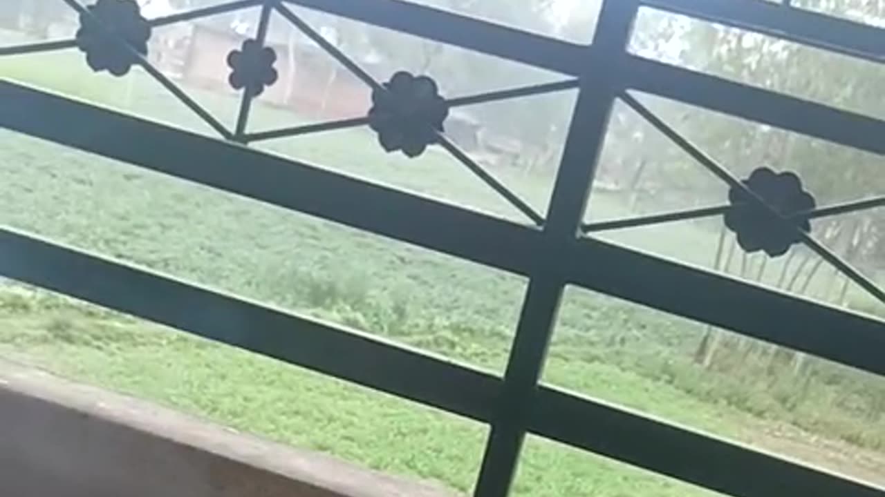 Village Scene 🥰🥰🥰🌅🤣🤣