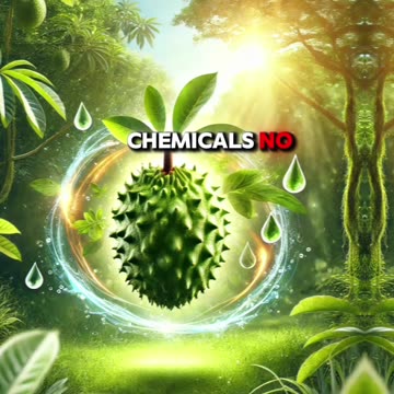 The Secret Power of Soursop: A Natural Remedy Big Pharma Doesn’t Want You to Know About