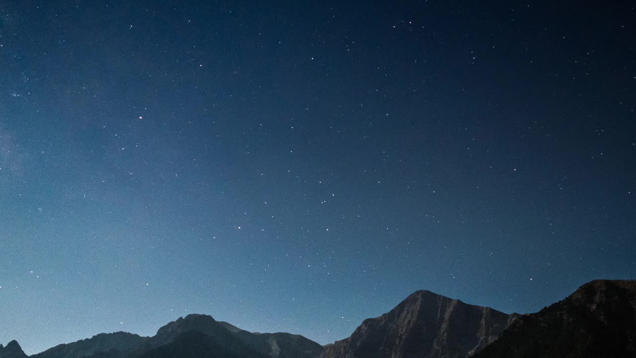 Zedd - Stay The Night (Lyrics) ft. Hayley Williams