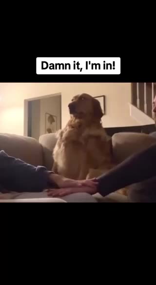 Chewchew - Damn... I'm In!