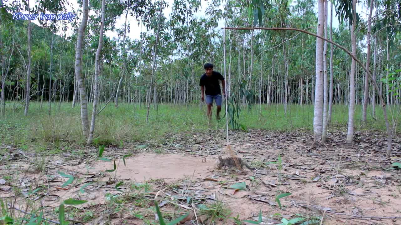 Simple Wild Cat Trap Using Nets - Traditional wild cat trap Work 100%