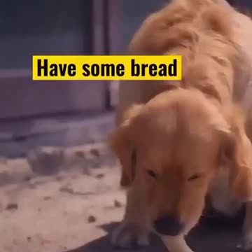 Love is also found in nature❤️❤️❤️⁣