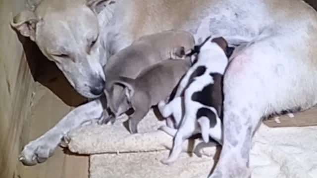 Need Help! Please Rescue