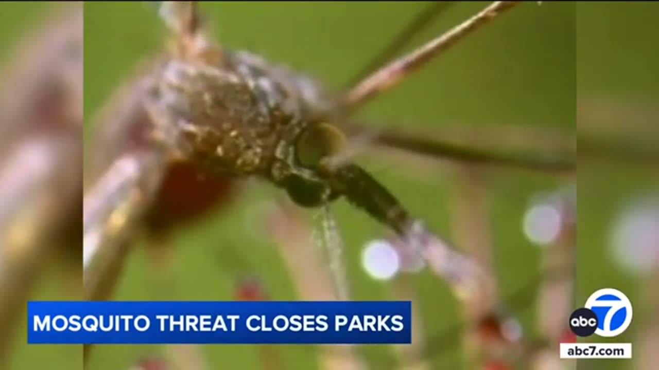 Rare but deadly mosquito virus infection has Massachusetts towns urging vigilance