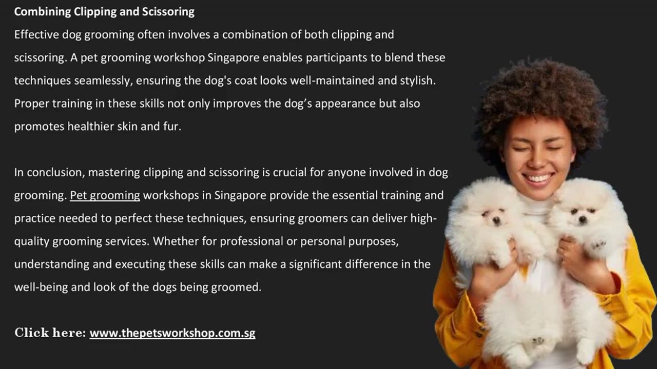 Quality Grooming with Clippers & Scissors: Dog Grooming Training — The Pets Workshop