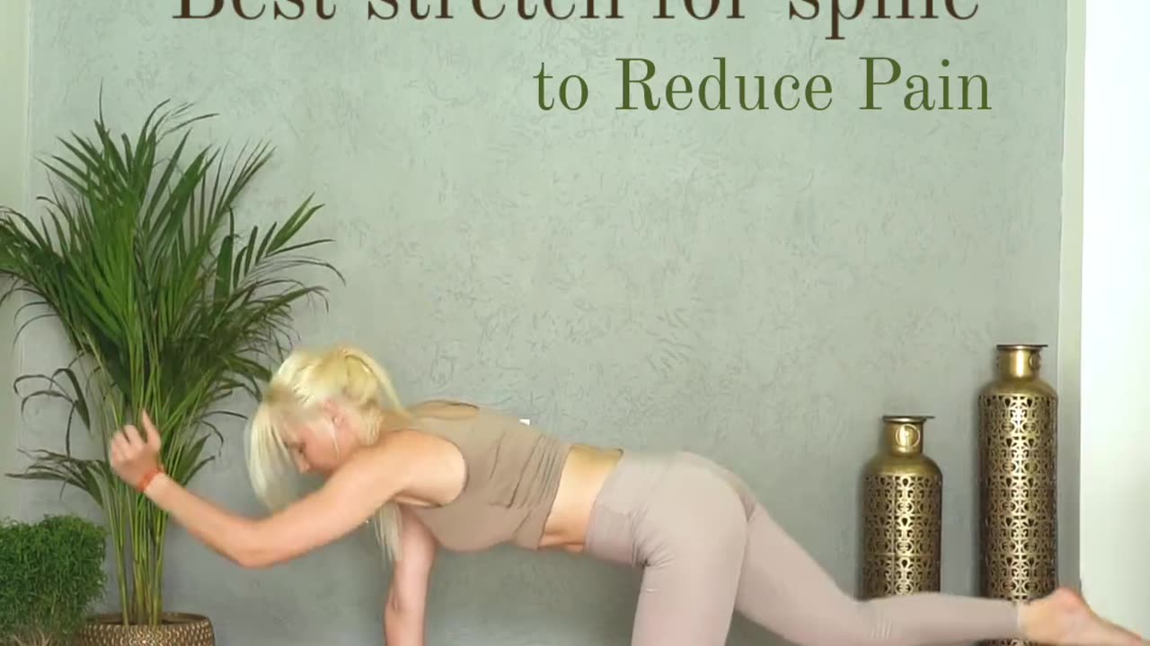 Best stretches for spine