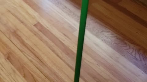 Magnetic pull keeping broom up