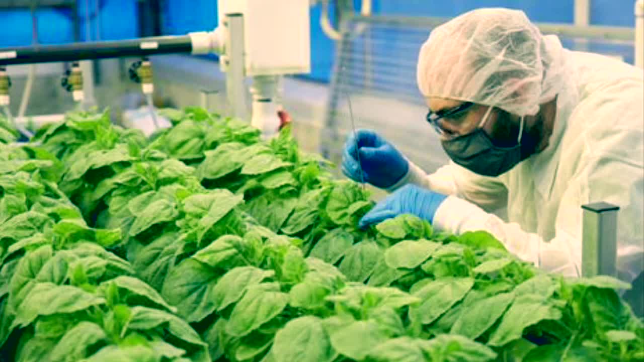 Proof There is a Plan For Putting "Vaccines" in Food