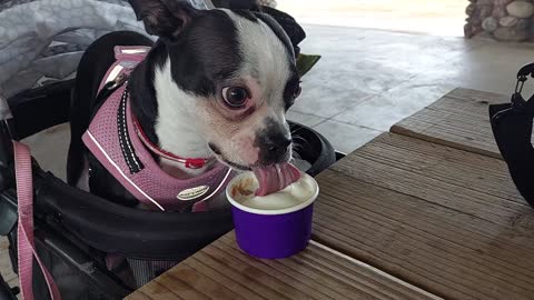 Raya Ember eating her ice cream.