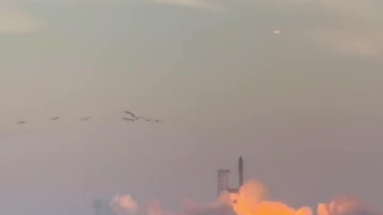 VID_20240305_080518_953