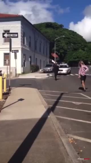 Maui Police tazer a mayoral candidate