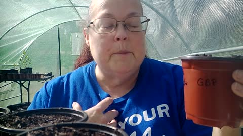 7 Acres Homestead-Episode #3-Planting and dehydrating peppers