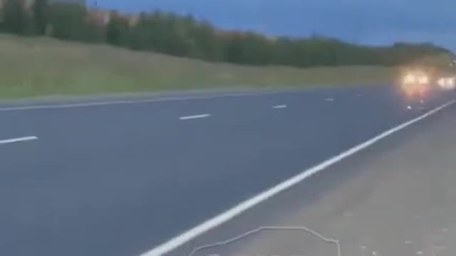 elk was hit by a car, accident