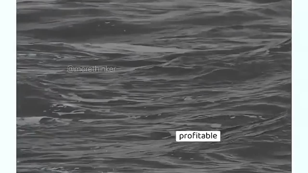 Paper Trading