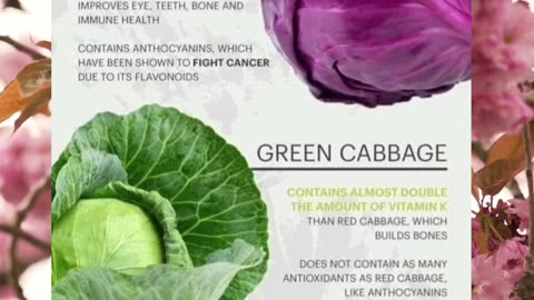 The Ultimate Showdown: Red Cabbage vs Green Cabbage