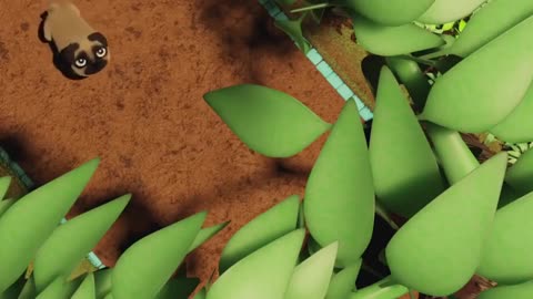 Dogs and Cats, Short Film by ANIMACAO, The Animation School