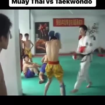 Taekwondo Vs. Muay Thai