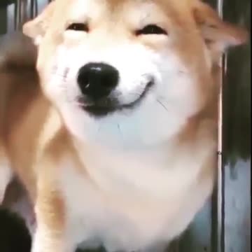 When you’re on a dream date but you’ve lied about everything on your profile.