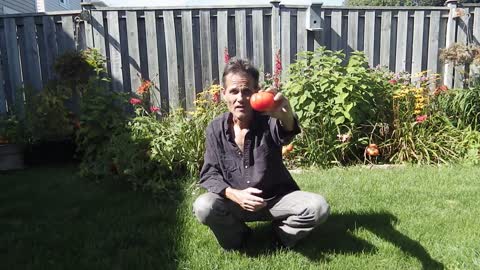 NEW WORLD ORDER GARDENING