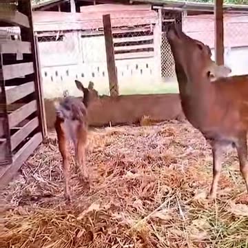 How dare you to approach like this