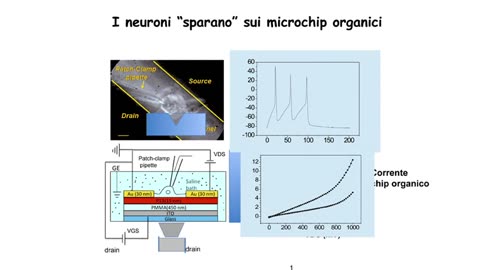 CIMeC - Centro Interpartimentale Mente Cervello