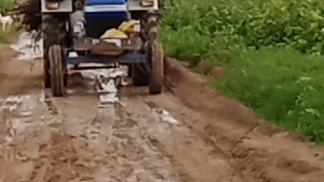 Tractor in field