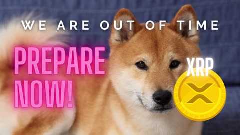 URGENT!! Prepare Now! | 🐕 #SHIB 💰 #XRP