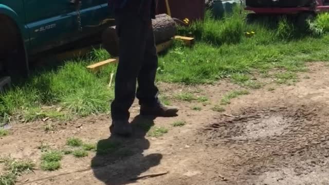 My dad hitting a Goff ball