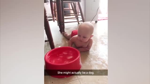 Cute and funny babies can't help but laugh