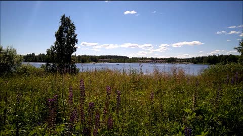 When the mind rises (official) - Indy Angel