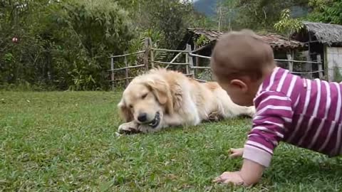 Cute baby and dog video