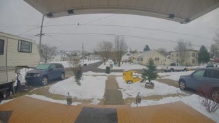 Seagull Gets Wing Caught on Outdoor Light Decoration